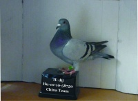 Teszttelep