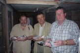 Piet Mandersnál eredeti arendonki galambokkal