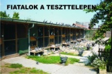 FIATALOK A TESZTTELEPEN