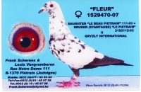 Albumok