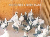 Mesebeli babosak