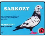 SÁRKÖZY