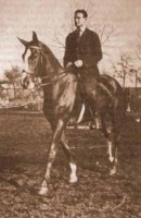 Albumok