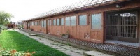 Albumok