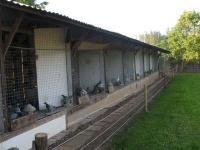 Archívum