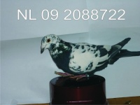 NL 09 2088722