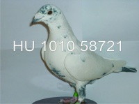 HU 10 10 58721