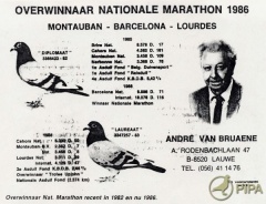 Van Bruane